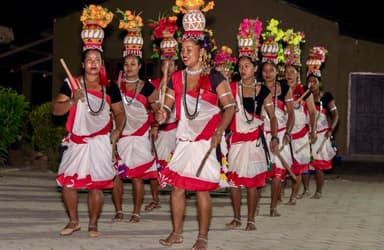 Tharu Cultural Dance 3