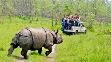 Chitwan Jungle Safari by Jeep 3
