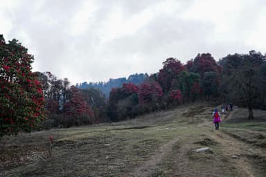 Trek from Namche Bazaar to Tengboche 2
