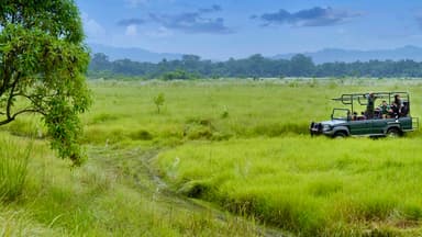 Chitwan Jungle Safari by Jeep 1