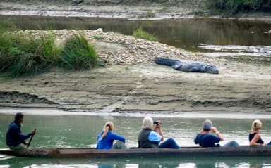 Chitwan Jungle Safari by Jeep 4