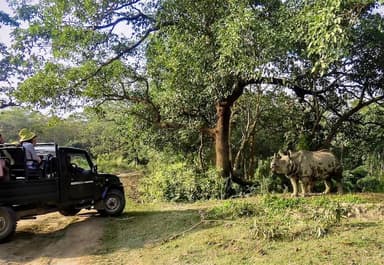 Chitwan Jungle Safari by Jeep 5