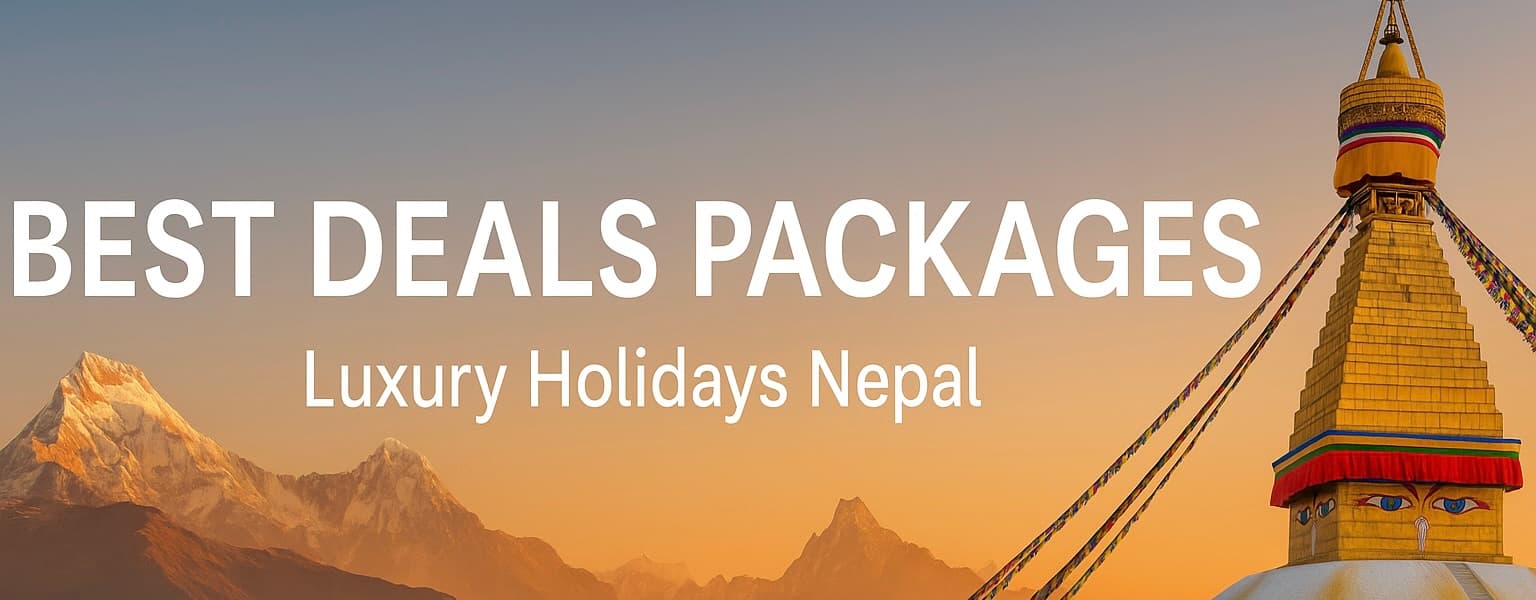 Best Deals and Discounts Packages