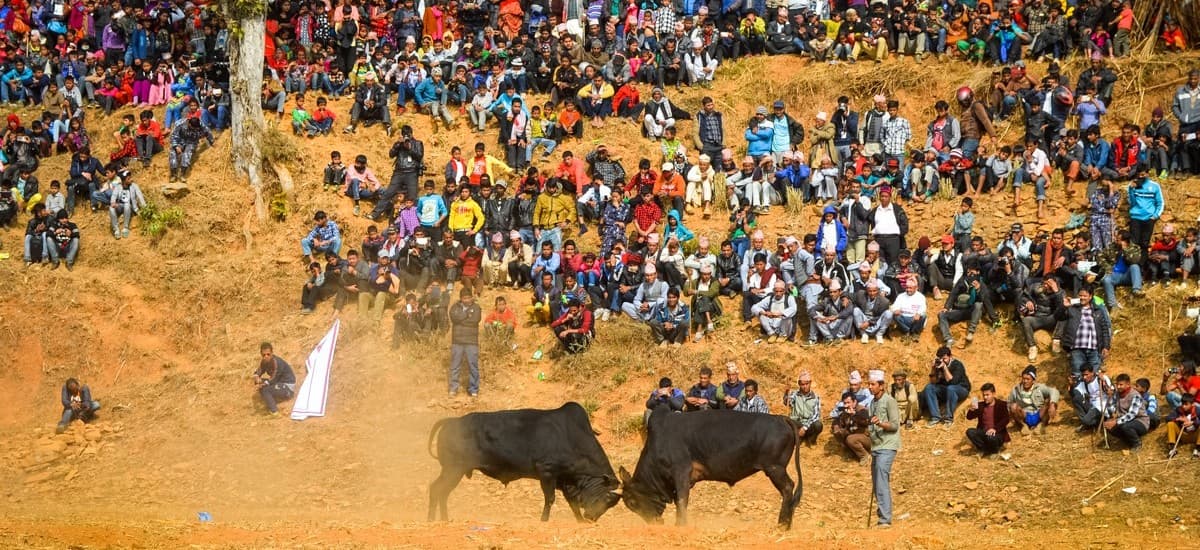 Entertainment In Nepal