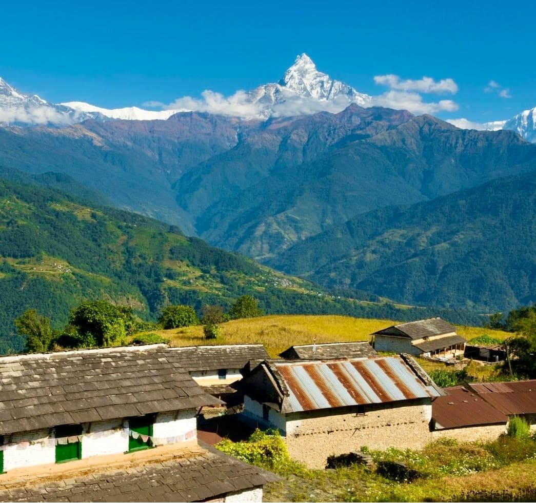 Luxury Nepal Odyssey: Exclusive Safari, Scenic Treks, and Cultural Insights