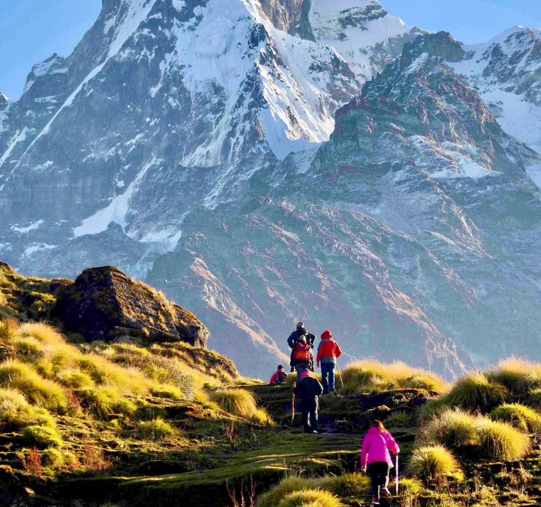 Mardi Himal Trek