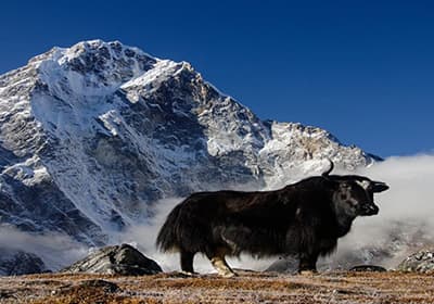 National Parks in Nepal