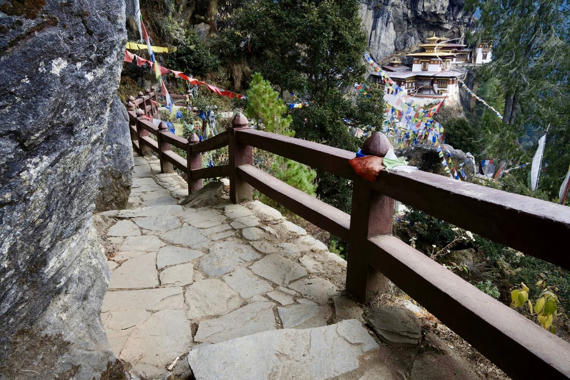 Hike to Paro Taktsang Tiger 2