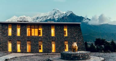 Shinta Mani Mustang 2