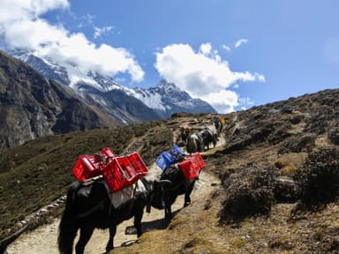 Langtang Village to Kyanjin Gompa 6