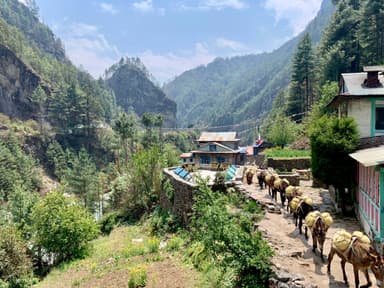 Luka to Phakding Manjo 5