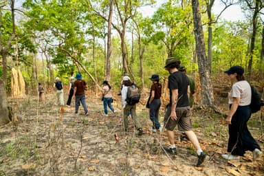 Bardiya National Park 2