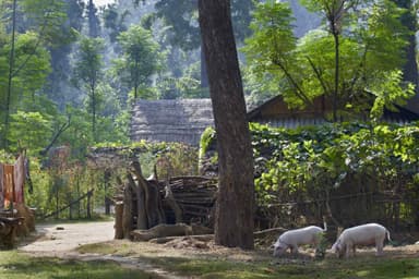 Drive to Bardiya National Park 3