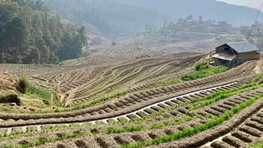 Short Hike around Dhulikhel