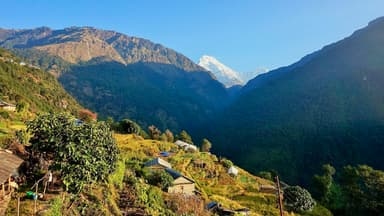 Drive from Pokhara to Ulleri