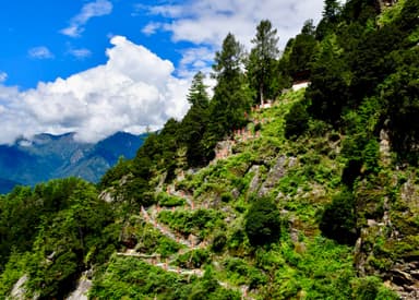 Hike to Paro Taktsang Tiger