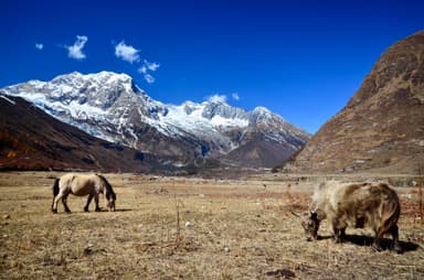 Samdo via Birendra Tal 3