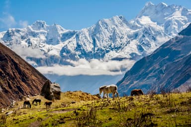 Cross Larkya La Pass 5