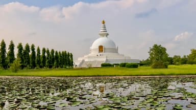 Sightseeing Tour of Lumbini 5