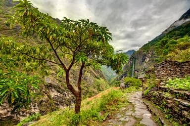 Trek from Philim to Deng 5