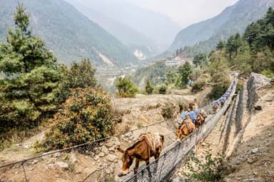 Luka to Phakding Manjo 1