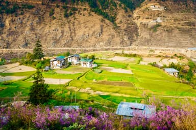 Sightseeing of Punakha 1