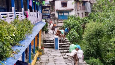 Trek from Nayapul to Tikhedhunga