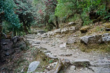 Tadapani to Sinuwa 4