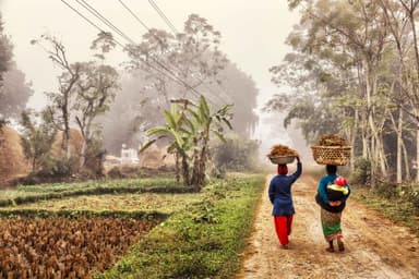 Drive to Bardiya National Park 7