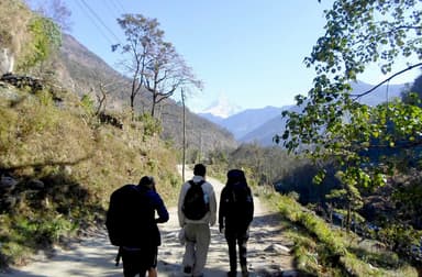 Ulleri to Ghorepani 2