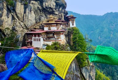 Hike to Paro Taktsang Tiger 1