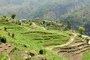 Ghandruk to Landruk 2