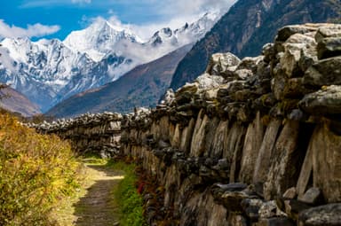 Trek from Langtang Village to Kyanjin Gompa 6