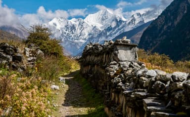 Trek from Langtang Village to Kyanjin Gompa 3