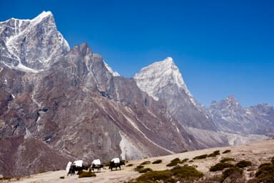 Trek from Tengboche to Dingboche 2