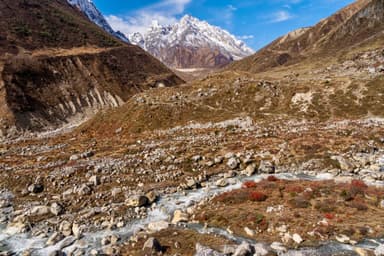 Samdo to Larkya Phedi : Dharmasala 5