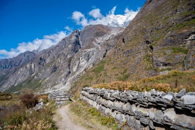 Lama Hotel to Langtang Village 4
