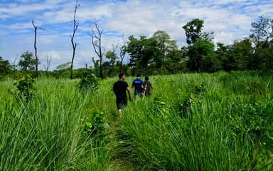 Bardiya National Park 6