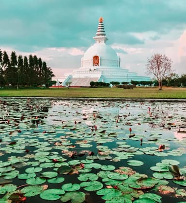 Sightseeing Tour of Lumbini 1