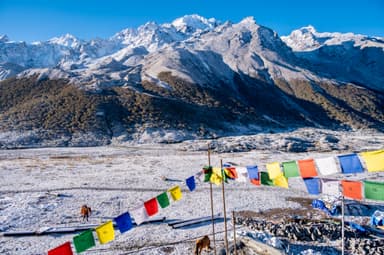 Trek from Langtang Village to Kyanjin Gompa 1