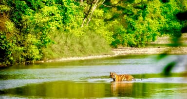 Bardiya National Park