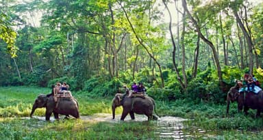 Bardiya National Park Safari 1