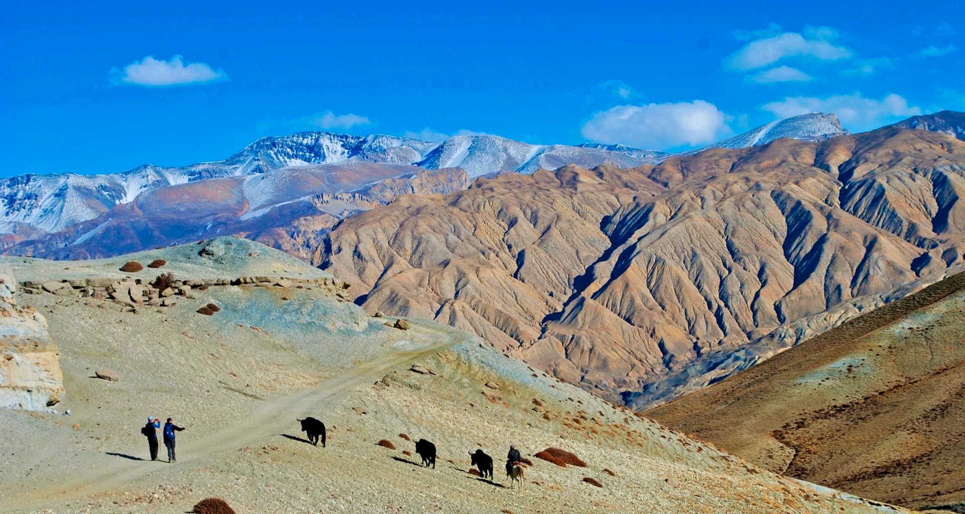Upper Mustang Colors