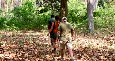 Jungle Safari In Bardiya National Park