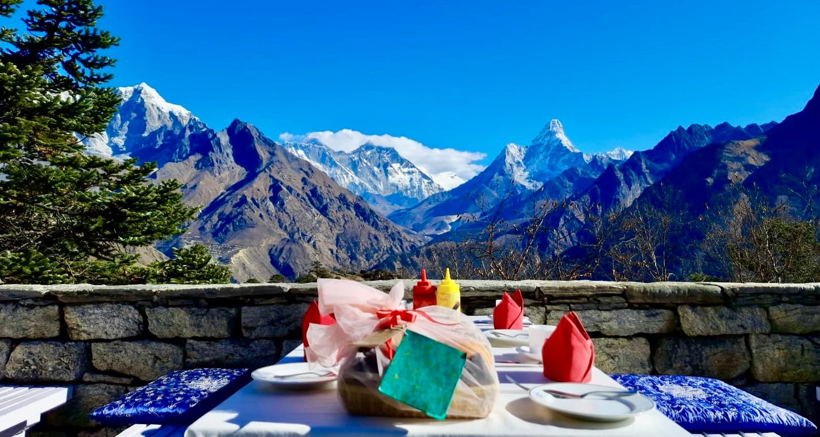 Everest View Hotel