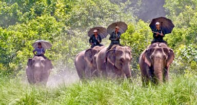 Bardiya National Park (1)