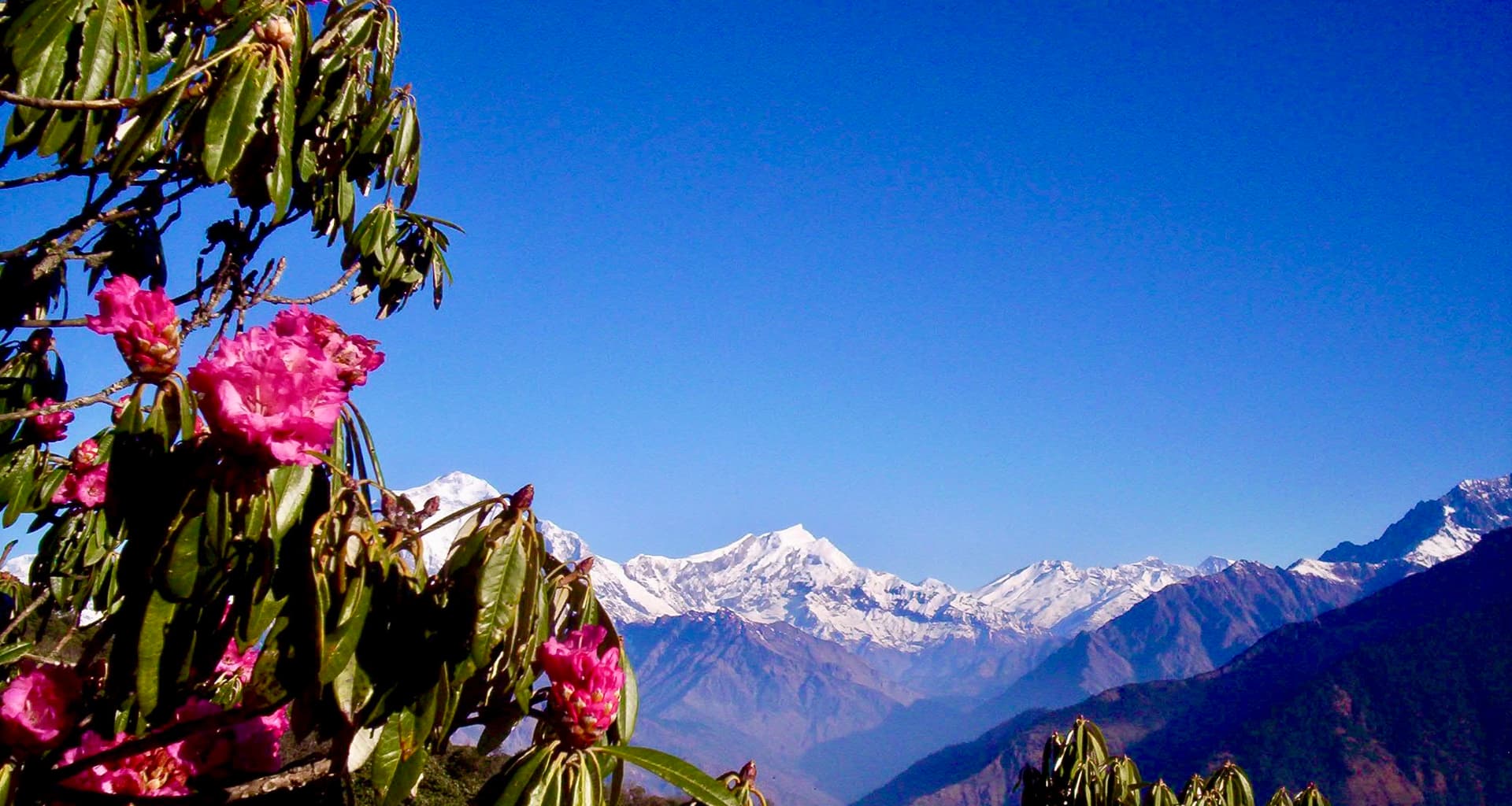 Annapurna Poon Hill Trekking