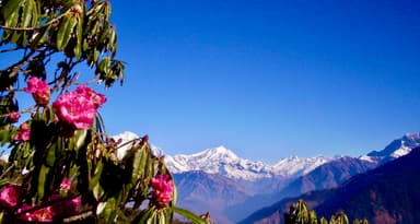 Annapurna Poon Hill Trekking