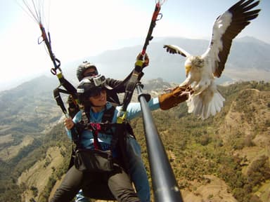 Paraglide In Pokhara