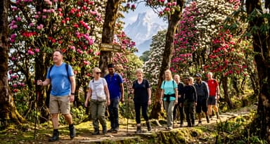 Friends trekking through rhodode… 2K 202607041123